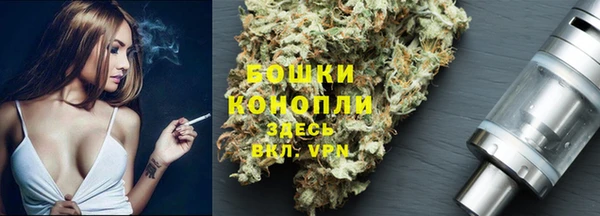 прущие крисы Белокуриха